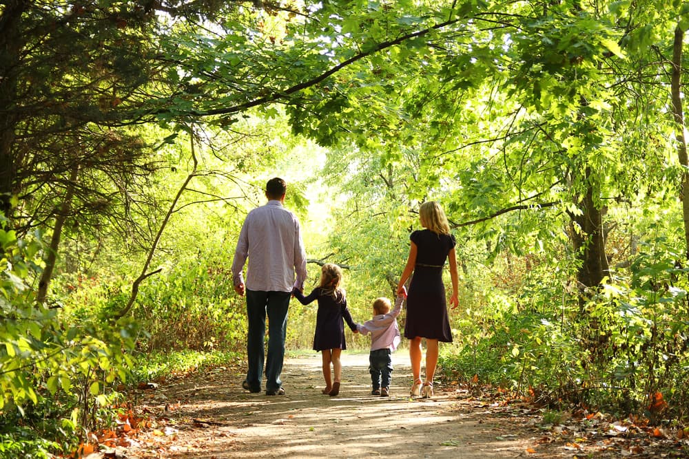 Close up of a double bed with orange cushions